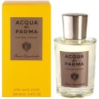 Acqua di Parma Colonia Intensa After Shave Lotion for Men 100 ml