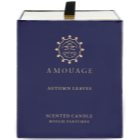 Amouage Autumn Leaves vela perfumada 195 g