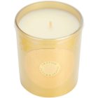 Amouage Autumn Leaves vela perfumada 195 g