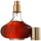 Amouage Divine Oud Raumspray 100 ml