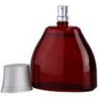 Antonio Banderas Spirit for Men Eau de Toilette für Herren 100 ml