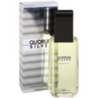 Antonio Puig Quorum Silver toaletní voda pro muže 100 ml