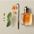 Armani Emporio Stronger With You toaletna voda za muškarce 100 ml