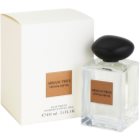 Armani Prive Vetiver Babylone toaletní voda pro muže 100 ml