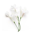 Armani Sì Le Parfum parfumuri pentru femei 40 ml