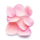 Armani Sì Rose Signature eau de parfum pour femme 100 ml