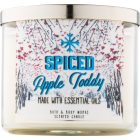 Bath & Body Works Camp Winter Spiced Apple Toddy Duftkerze 411 g