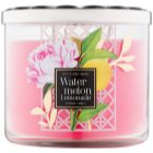 Bath & Body Works Watermelon Lemonade vela perfumada 411 g