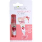 Bielenda Delicate Rose Vaseline für Lippen