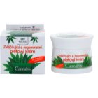 Bione Cosmetics Cannabis regenerierende Gesichtscreme