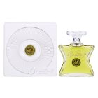 Bond No. 9 Downtown Great Jones Eau de Parfum für Herren 100 ml