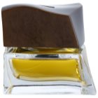 Brioni Eau de Toilette Eau de Toilette for Men 75 ml