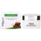Brische Crema Anti-Edad crema antiarrugas con extracto de baba de caracol