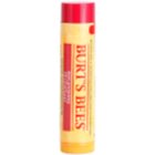 Burt’s Bees Lip Care regenerierender Lippenbalsam