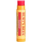 Burt’s Bees Lip Care regenerierender Lippenbalsam