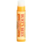 Burt’s Bees Lip Care balzám na rty s medem