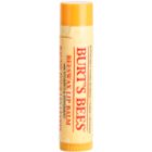 Burt’s Bees Lip Care Lippenbalsam mit Bienenwachs