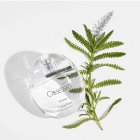 Calvin Klein Obsessed Eau de Parfum for Women 100 ml