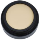 Catrice Camouflage deckendes Make-up