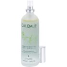 Caudalie Beauty Elixir eliksir upiększający nadający skórze promienny wygląd