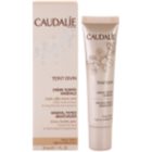 Caudalie Teint Divin mineralische, feuchtigkeitsspendende Tönungscreme