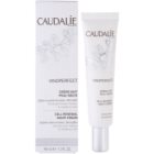 Caudalie Vinoperfect aufhellende Nachtcreme gegen Pigmentflecken