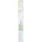 Clinique Skinny Stick олівець для очей з інтенсивним кольором