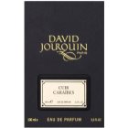 David Jourquin Cuir Caraibes Eau de Parfum unisex 100 ml