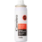 Delia Cosmetics Cameleo fixativ cu fixare puternică