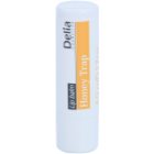 Delia Cosmetics Lip Balm Honey Trap regenerační balzám na rty
