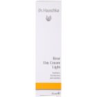 Dr. Hauschka Facial Care crema ligera de rosas