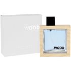 Dsquared2 He Wood Ocean Wet Wood toaletná voda pre mužov 100 ml