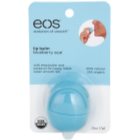 EOS Blueberry Acai balzam za ustnice