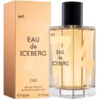 Iceberg Eau de 74 Oud woda toaletowa dla mężczyzn 100 ml