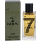 Iceberg Eau de Amber toaletní voda pro muže 100 ml