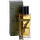 Iceberg Eau de Amber toaletní voda pro muže 100 ml