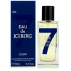 Iceberg Eau de Iceberg Cedar Eau de Toilette für Herren 100 ml