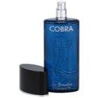 Jeanne Arthes Cobra Ice Breaker Eau de Toilette für Herren 75 ml