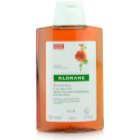 Klorane Nasturtium šampon proti suchým lupům
