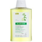 Klorane Cédrat champô para cabelo normal