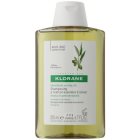 Klorane Olive Extract Shampoo mit ätherischen Auszügen aus Oliven