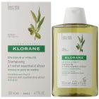 Klorane Olive Extract Shampoo mit ätherischen Auszügen aus Oliven