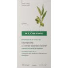 Klorane Olive Extract Shampoo mit ätherischen Auszügen aus Oliven