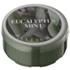 Kringle Candle Eucalyptus Mint Teelicht 35 g