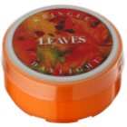 Kringle Candle Leaves Teelicht 35 g