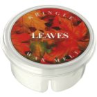 Kringle Candle Leaves Wachs für Aromalampen 35 g