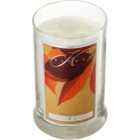 Kringle Candle Touch of Autumn vonná sviečka 624 g