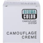 Kryolan Dermacolor Camouflage System Machiaj si anticearcan cremos intr-unul singur