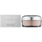 Kryolan Dermacolor Light Mineral sypký pudr se štětečkem