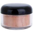 Kryolan Basic Face & Body pudra bronzanta